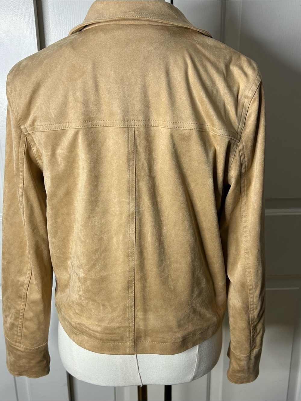 NWT (Size M) BAGATELLE
Suede Collared Jacket - Picture 7 of 9